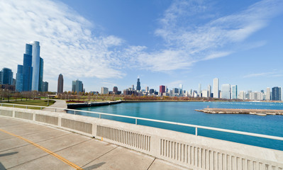 The Chicago Skyline