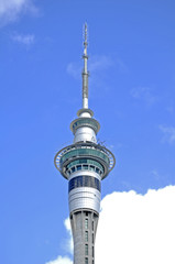 Obraz premium Sky Tower, Auckland NZ
