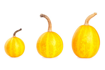 Three small decorative pumpkins on white background