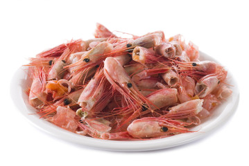 Shrimp Shells