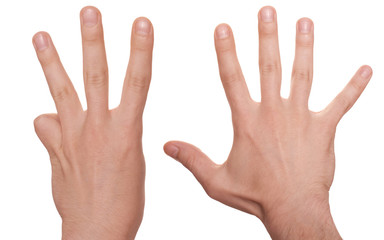 well shaped business man hand count isolated over white. eight