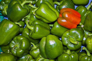 Obraz na płótnie Canvas Poivrons rouges et verts sur l'étalage d'un supermarché (fruits