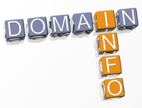 Info Domain Crossword