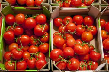 Tomates rondes sur l'étalage d'un supermarché (fruits et légumes