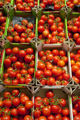Tomates rondes sur l'étalage d'un supermarché (fruits et légumes
