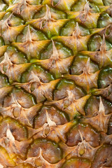 Fototapeta premium Pineapple fruit
