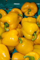 Poivrons verts sur l'étalage d'un supermarché (fruits et légumes