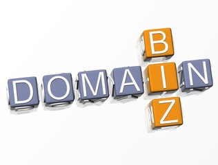 Biz Domain Crossword