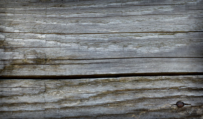 Obraz premium wood background nature