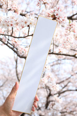 桜の花と白紙の短冊