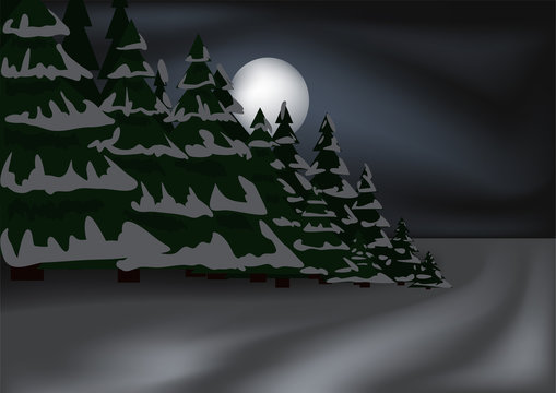 Nightly winter forest