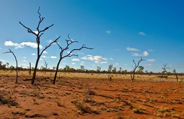 Fototapete australian landscape in the red center, australian desert © Enrico Della Pietra