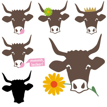 Kuh Illustrationen