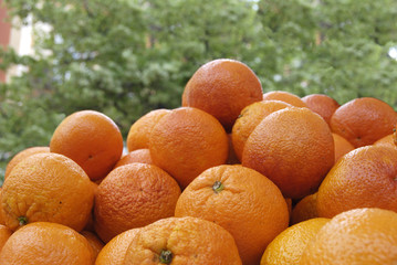 Oranges on market stall. Nice. Provence. France
