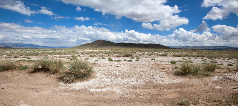 Salt steppe