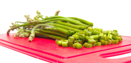 Edible fern - Pterídium aquilínum