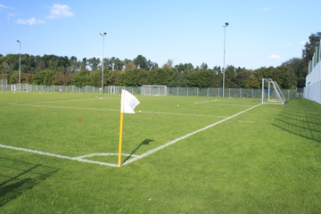 Fototapeta premium football