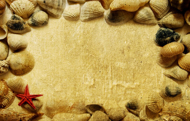Fototapeta na wymiar Vintage paper background with seashells