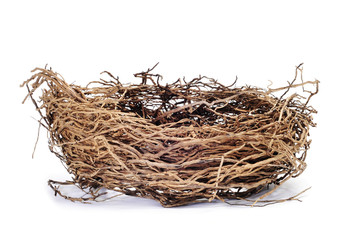 nest