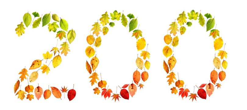 foliage 200