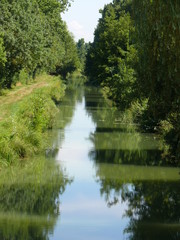marais poitevin