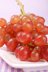 Italian red table grape