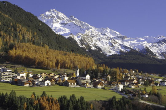 「Cunter」の写真素材 27件の無料イラスト画像 Adobe Stock