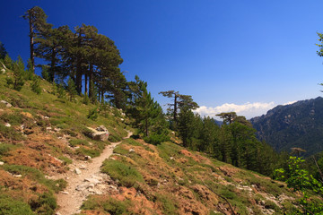Corsica landscape