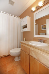 Fototapeta na wymiar Bathroom with maple cabinets