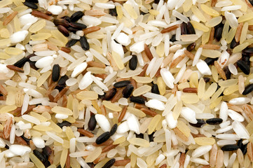 Mixed rice