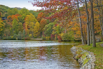 Hessian Lake Autumn