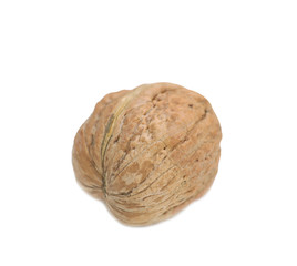 walnut