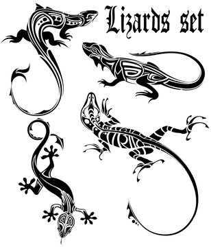 lizards set