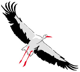 Oiseaux - Cigogne en vol