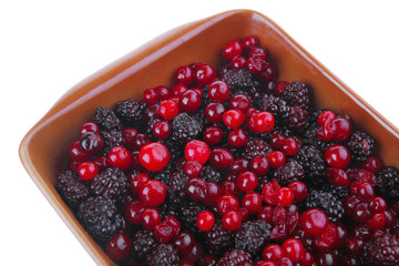 wild berry