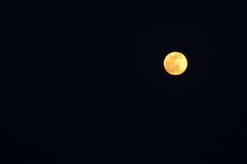 Fllu moon in the once night.