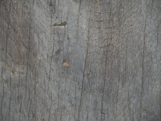 Textur Holz 1