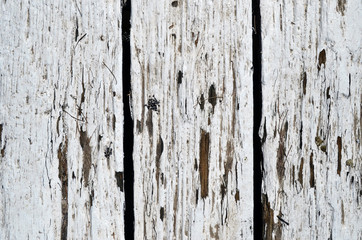 Weathered old white planks of wood on a jetty.