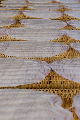 Rice Paper Drying