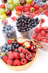 different kinds of berries