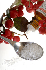 Globuli Löffel vor Heilpflanze Gaultheria