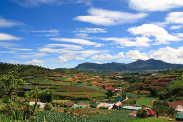 Fototapeta na wymiar Vietnam Farmland Landscape