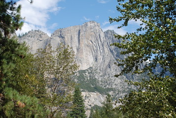 USA, Californie, Park national Yosemite valley, forêt, montagne