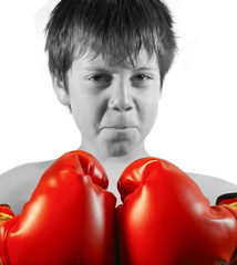 Boy Boxer