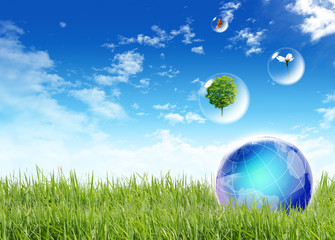 photo of earth in grass ideal for background .