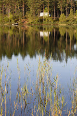 Obraz premium Forest Lake