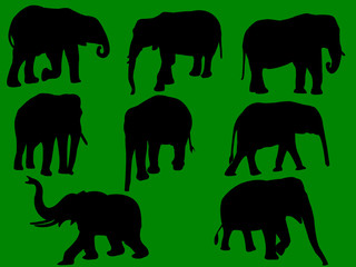 elephants collection silhouette - vector