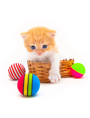 Red kitten in a wattled basket with multi-colored balls