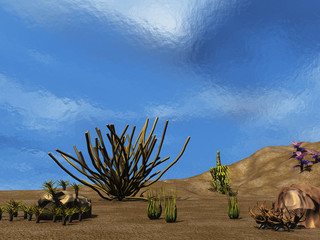 plantas submarinas © Pablo Armelles