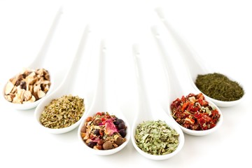 different spices and herbs in porcelain spoons